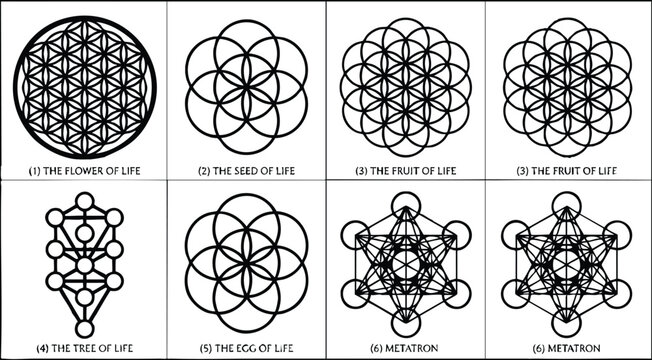 Black and white sacred geometry symbols flower seed fruit tree metatron life set vector art
