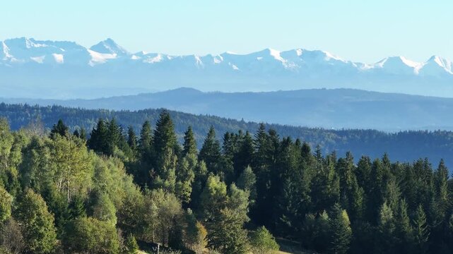 Aerial drone shot moving left over green coniferous hills with snow capped Tatra Mountains in the background on a clear day panoramic landscape