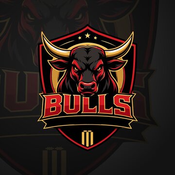 Bulls Cricket Team Logo - DP