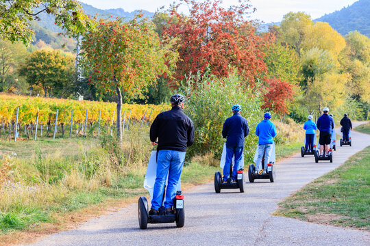 Group of people riding segways along a path in a vineyard during autumn in a rural area