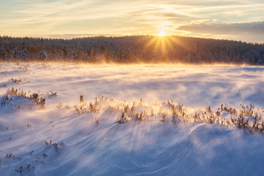 Windblown snowfield in Brdy at golden hour