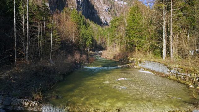 Aerial view of crystal clear mountain stream and alpine forest, Austria