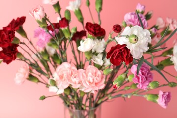 Fototapeta premium Beautiful carnation flowers in vase on pink background, closeup