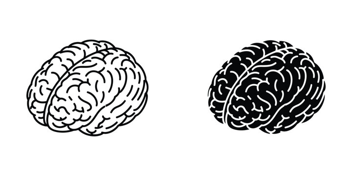 Comparison of human brain hemispheres with different contrast levels.