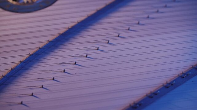 Delicate Musical Strings Under Dramatic Blue Lighting
