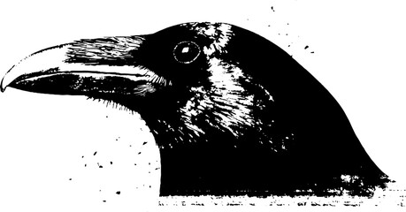 Obraz premium High contrast black and white raven head ink profile with textured splatter for poster and banner design