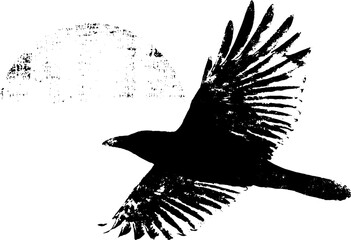 Obraz premium Black ink raven in flight with distressed halo sun element for poster and wallpaper background design