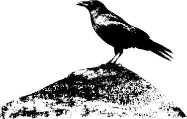 Obraz premium High contrast black and white ink illustration of a raven perched on a stone bust for gothic poster and background design