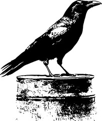 Obraz premium High contrast black and white ink illustration of a raven standing on a metal drum for gothic poster and sticker design background