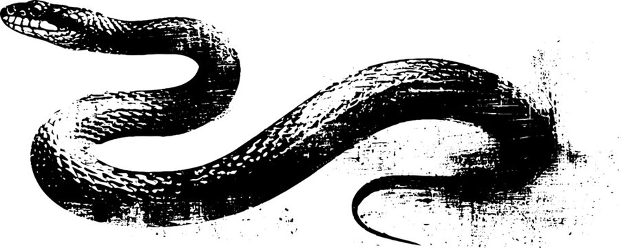 High contrast black and white serpent ink illustration with textured scales for emblem and tattoo or poster design use