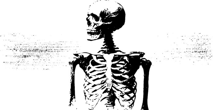 Black and white high contrast standing skeleton torso ink tracing for gothic poster background and minimalist dark design