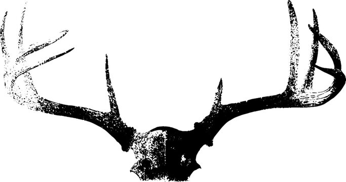 Stag antler skull silhouette high contrast black and white ink artwork for poster background and tattoo design