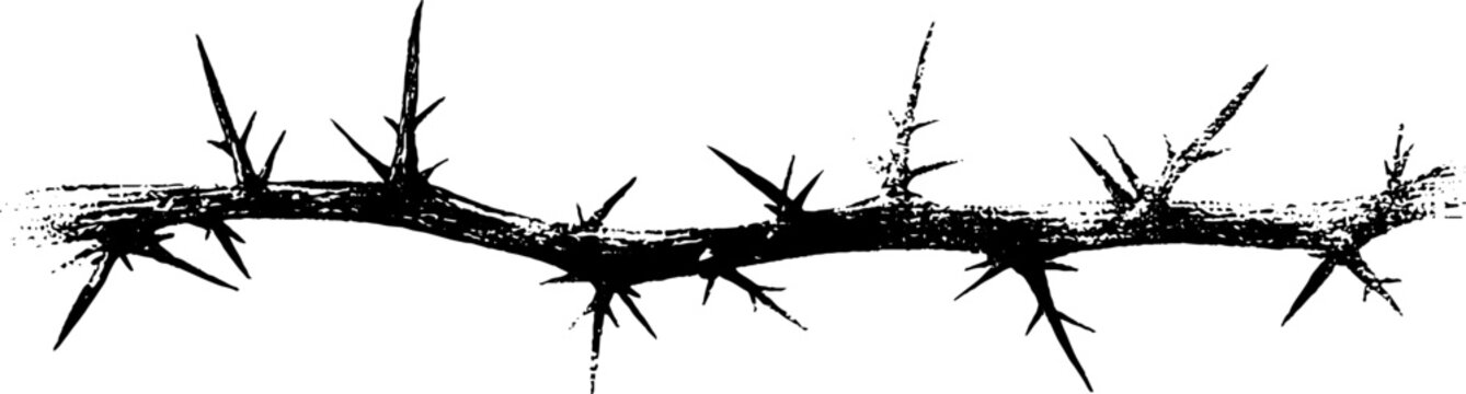 High contrast black and white thorn branch ink silhouette for seamless divider or border use in graphic layout and texture design