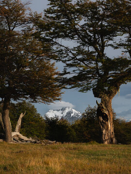 En alguna Chacra por el Puesto 18