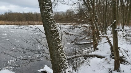 Zima w parku  © WalDec
