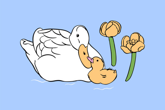 White duck with yellow baby duck, water lily. Summer, spring lake, pond, nature symbol concept. Hand drawn modern Vector illustration. Isolated design element. Sticker, print template