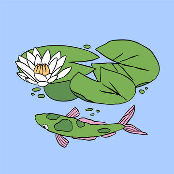 Carp Koi, lotus flower or water lily. Summer, spring lake, pond, nature symbol concept. Hand drawn modern Vector illustration. Isolated design element. Sticker, print template