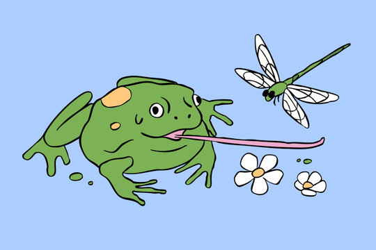 Frog with long tongue, white flowers, dragonfly. Summer, spring lake, pond, nature symbol concept. Hand drawn modern Vector illustration. Isolated design element. Sticker, print template