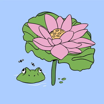 Frog sits in water, flies, lotus flower or water lily. Summer, spring lake, pond, nature symbol concept. Hand drawn modern Vector illustration. Isolated design element. Sticker, print template
