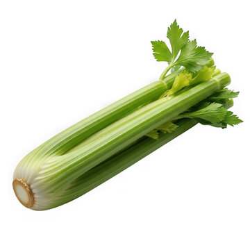 Fresh green celery stalk with leaves