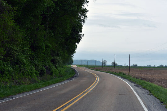 A road swerving through a forest.