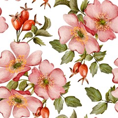 Watercolor seamless pattern with wild roses and rosehips on a white background © Yuliia