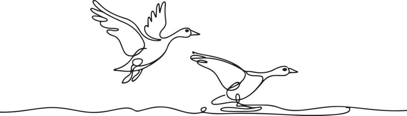Obraz premium Continuous one line drawing of two geese taking off from the water. One goose is in flight with wings spread wide. one line Icon drawing