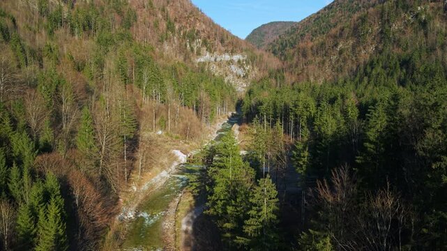 Aerial view of alpine valley with river dam and pine forest in sunset, Austria