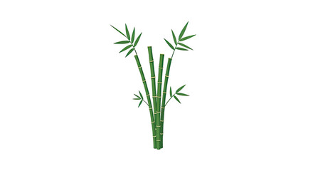 Naklejka premium Elegant bamboo stalks with lush green leaves on a white background