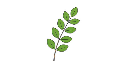 Obraz premium A delicate green leaf branch botanical illustration on white background