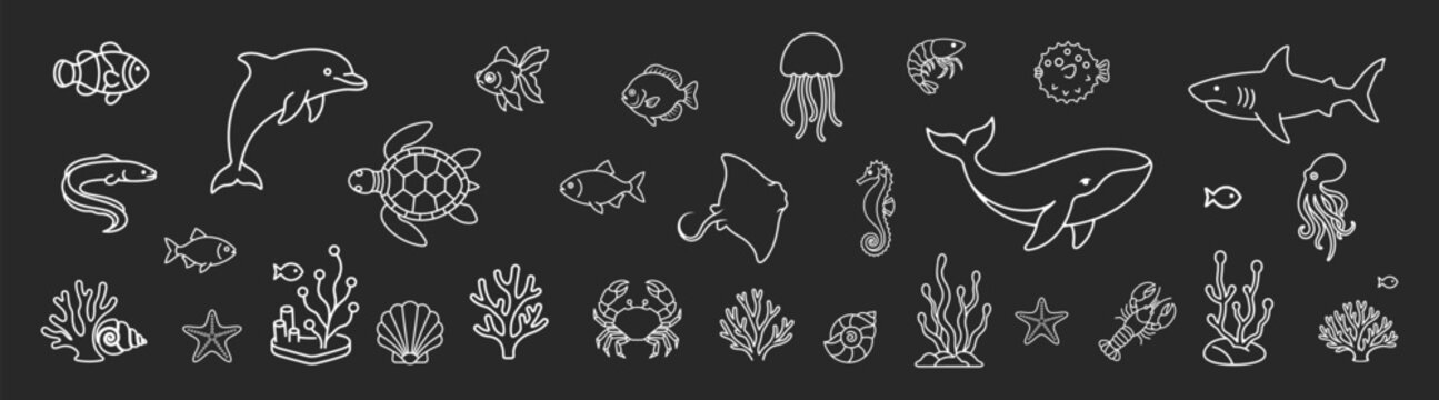 Marine animals set ocean outline silhouette icon on black background