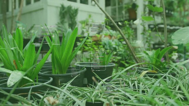 Low camera pulling back, potted plants revealing porch wall, glitch overlays guiding garden design