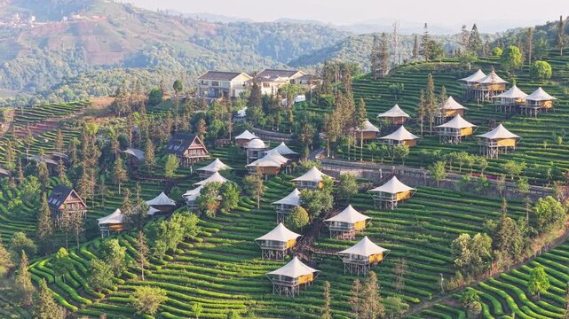 Aerial view of luxury tent cabins nestled on terraced tea plantations surrounded by lush green hills and forests in Puer, Yunnan, China.