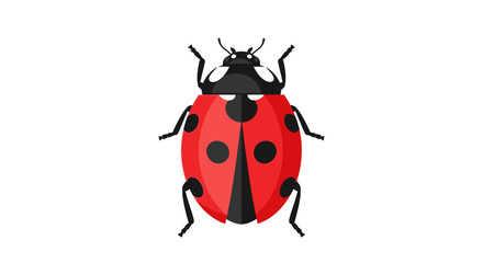 Vibrant red ladybug isolated on white background for diverse visual projects © lahah
