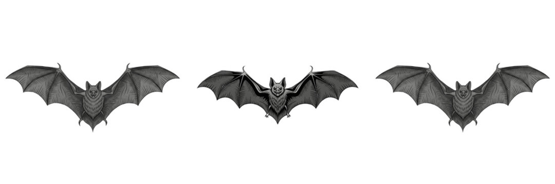 Black Bat Silhouette with Outspread Wings for Halloween and Gothic Horror Design