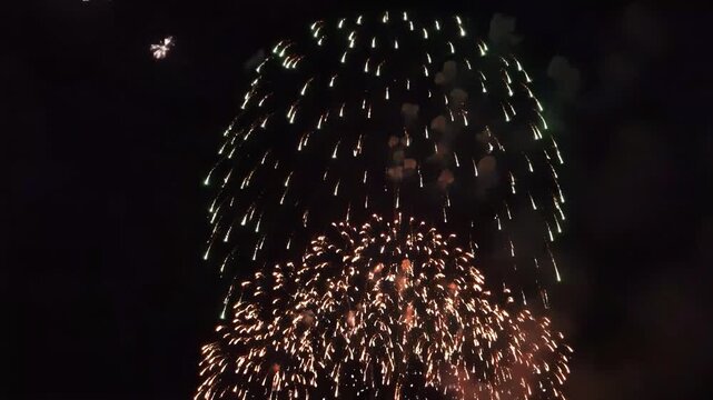 Vibrant fireworks exploding in the night sky