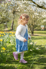 Fototapeta premium Little girl running through blooming daffodil field, sunny spring day, outdoor lifestyle, happy childhood, motion, natural light, carefree kid, yellow flowers, copy space 