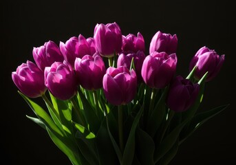 Fototapeta premium Vibrant purple tulips arranged in a lush bouquet, dramatically illuminated by bright natural sunlight, creating strong contrast and shadow, flowers, Tulips, blossom