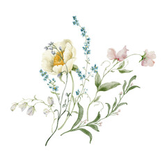 Fototapeta premium Hand painted watercolor bouquet with white peony pink sweet pea and blue forget-me-not isolated on white. Floral Illustration for design, print, fabric, background.