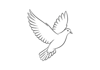 Fototapeta premium Hand drawn minimalist flying dove line art illustration on white background