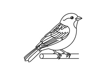 Fototapeta premium Detailed line art illustration of a small sparrow bird perching on a branch with hand drawn
