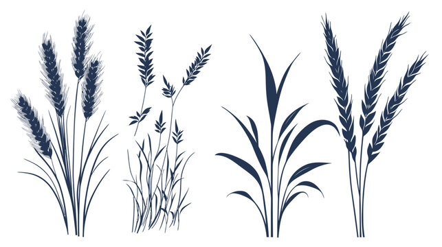 Stylized illustrations of various grasses and grains, rendered in a minimalist, graphic style, perfect for design