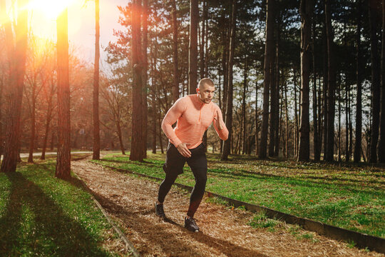 Runner exercises on a forest path during morning light in a natural setting with trees and a clear sky