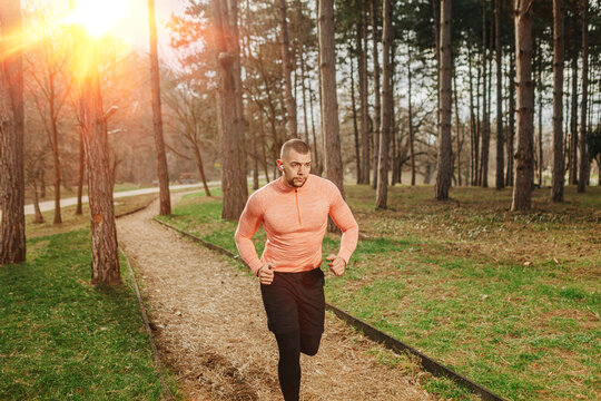Runner exercises on a forest path during morning light in a natural setting with trees and a clear sky