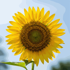 Obraz premium A close-up view of a vibrant yellow sunflower with a dark brown center, set against a soft blue sky.