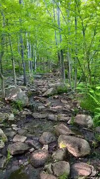Beehive Trail Rocky Path and Stone Steps Point of View Hike (Acadia National Park, Maine, USA)