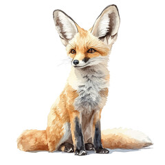 Obraz premium watercolor of Fennec Fox draw illustration, isolated on a white background.