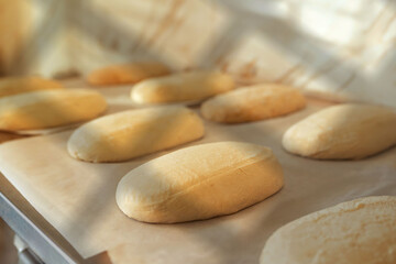 Obraz premium Soft bread dough pieces resting on parchment trays, proofing stage in artisan bakery, raw loaves ready before baking in warm kitchen light