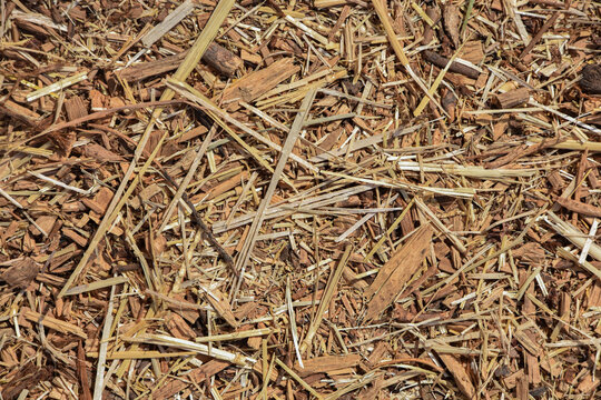 Sol recouvert de paille et autres d&eacute;bris naturels