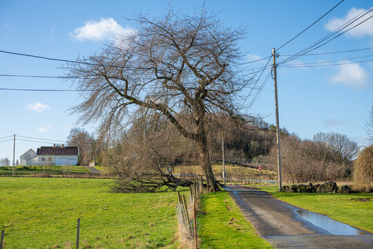 Rural countryside road passing tree and farmland under bright clear sky.